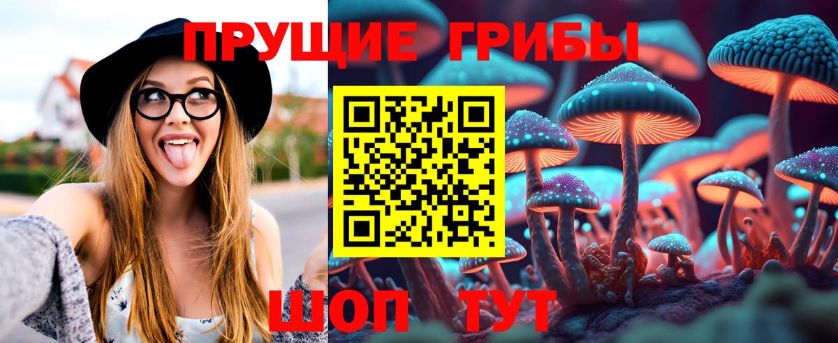Галлюциногенные грибы Psilocybe Карталы