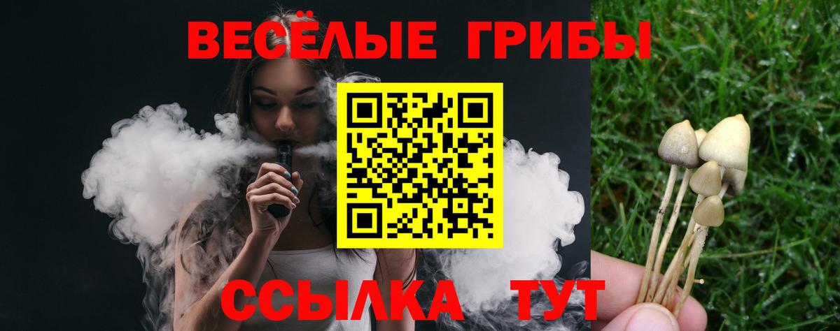 Псилоцибиновые грибы Cubensis  Вход с VPN  Карталы  Псилоцибиновые грибы MAGIC MUSHROOMS 